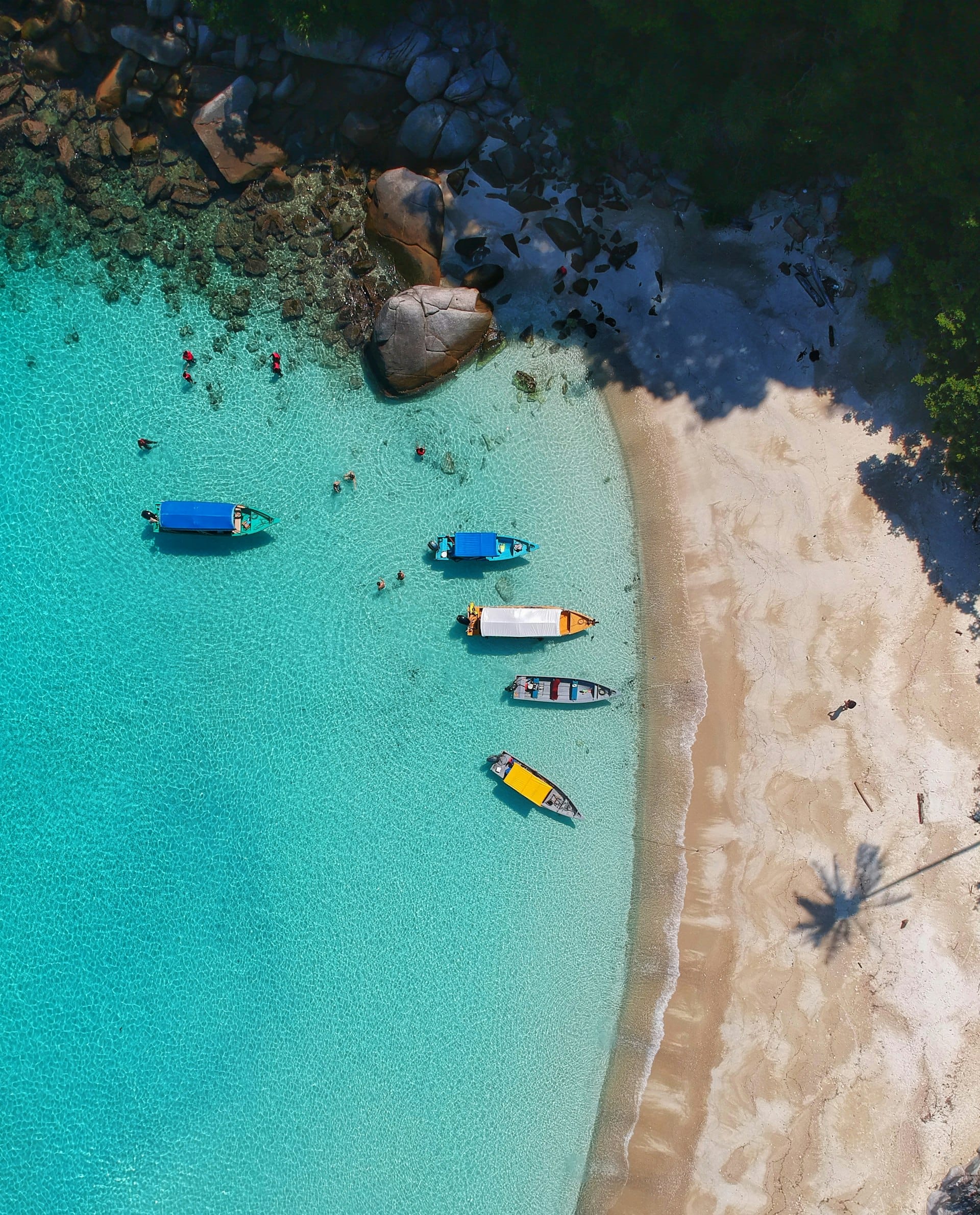 Traveller overlooking a tropical coastline at golden hour